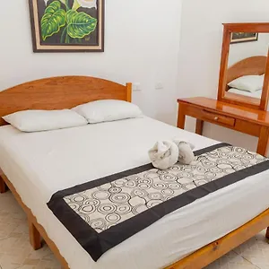 Palmas Centro Cancún