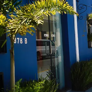 https://hotel-boutique-casa-flor-de-mayo.hotelsmerida.org